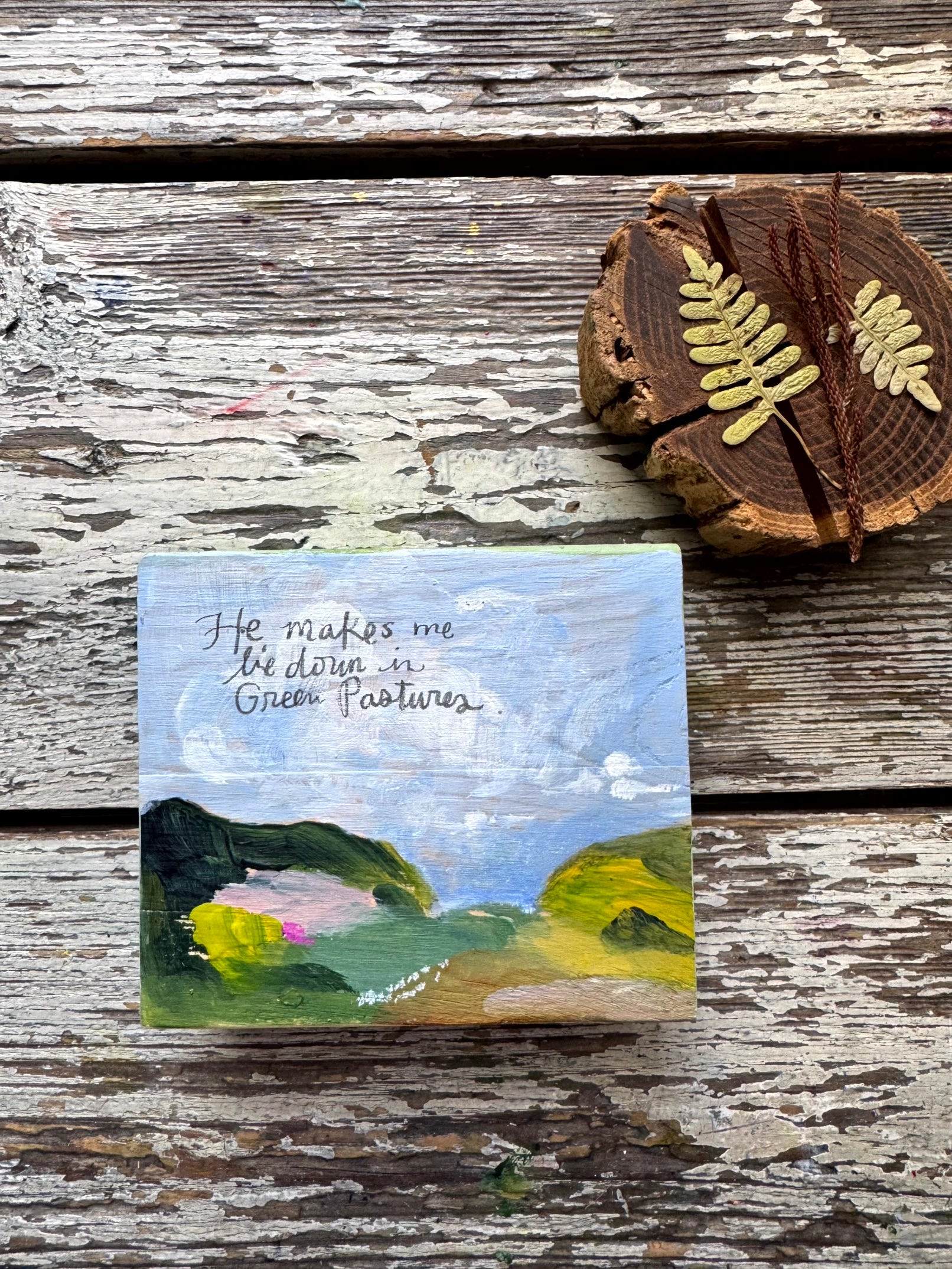 No. 06 | He makes me lie down in green pastures