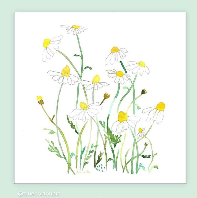 Botanical Watercolor Workshop | April 21