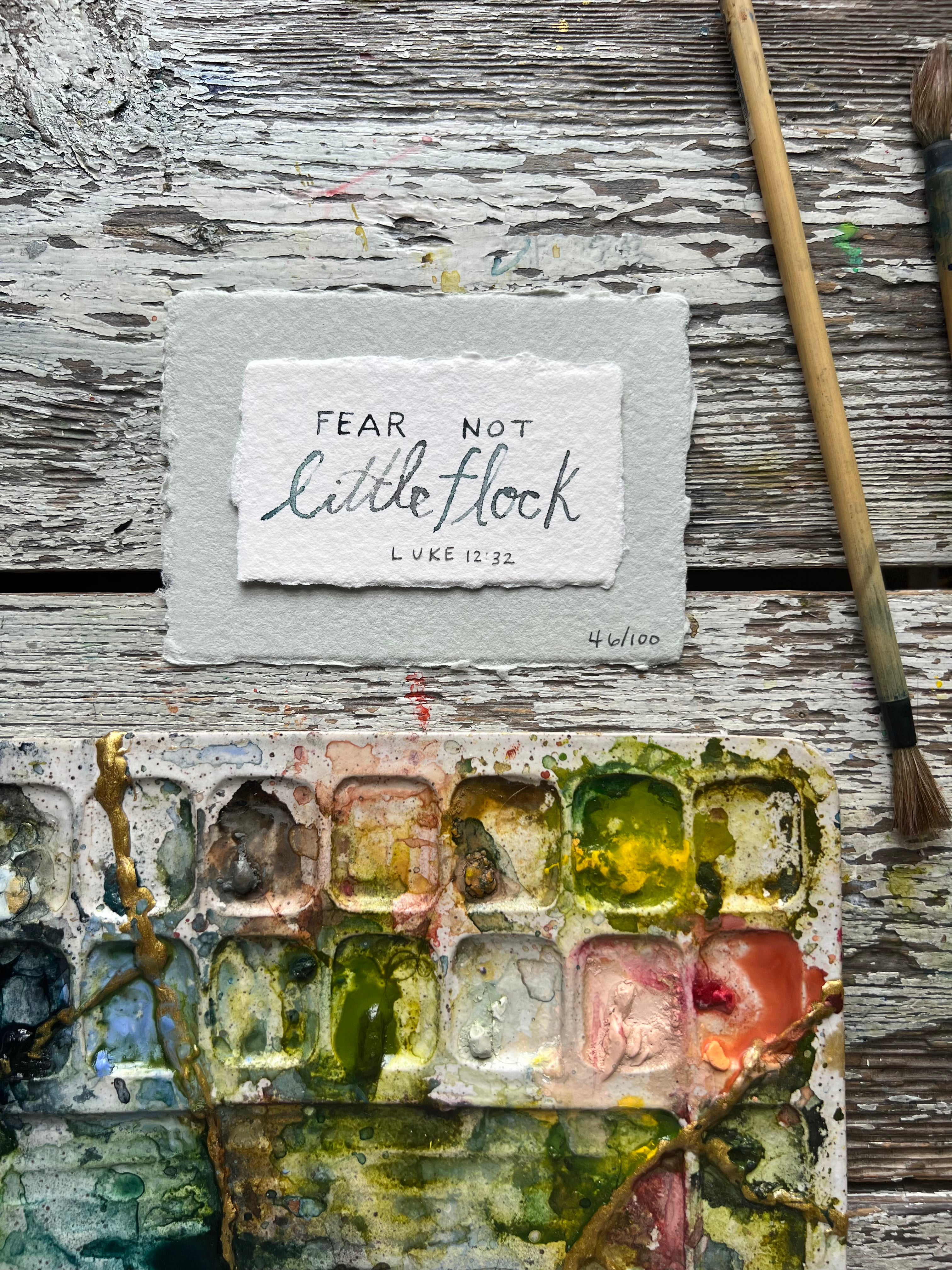 46/100 Tiny Truth Luke 12:32