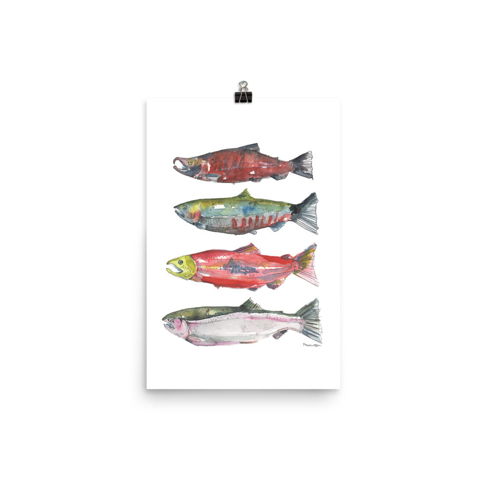Pacific Northwest Salmon Watercolor Art PRINT
