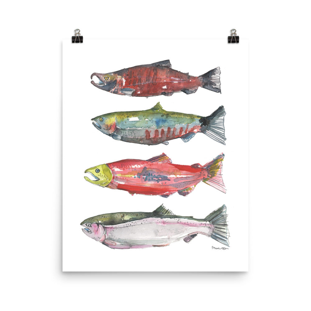 Pacific Northwest Salmon Watercolor Art PRINT