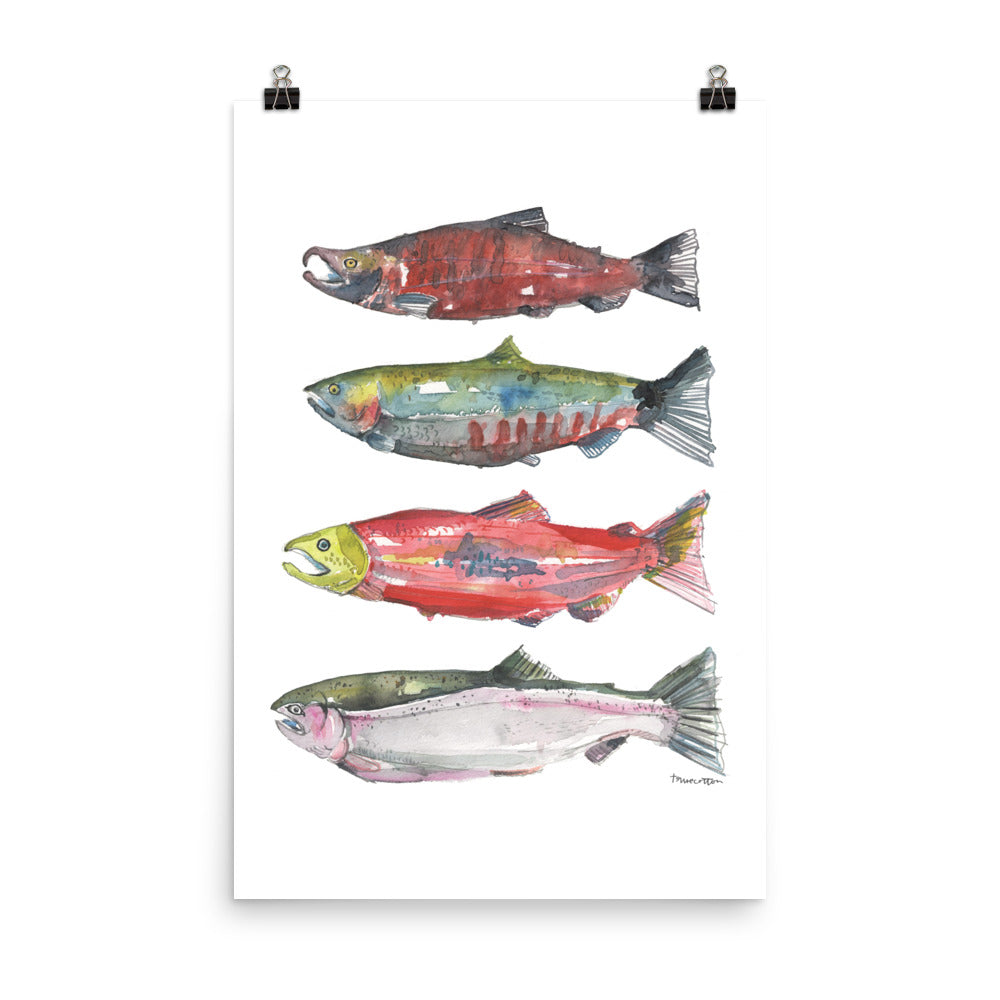 Pacific Northwest Salmon Watercolor Art PRINT
