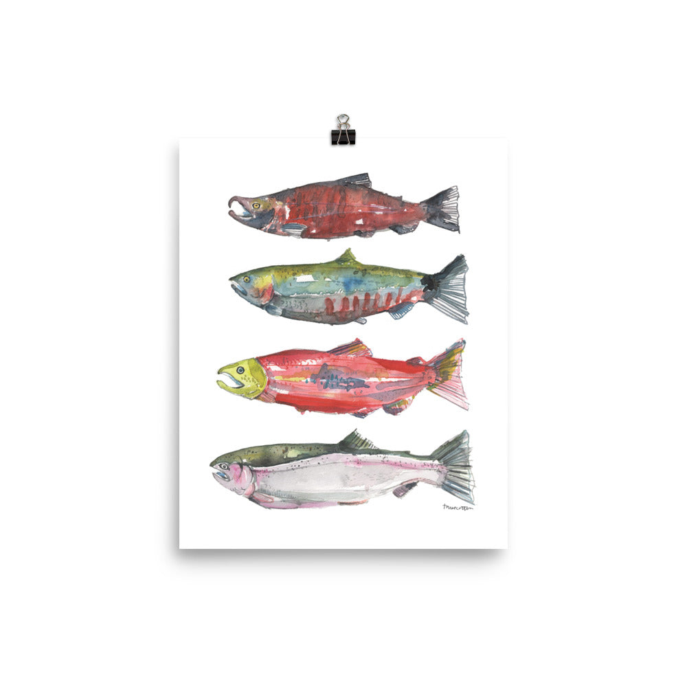 Pacific Northwest Salmon Watercolor Art PRINT