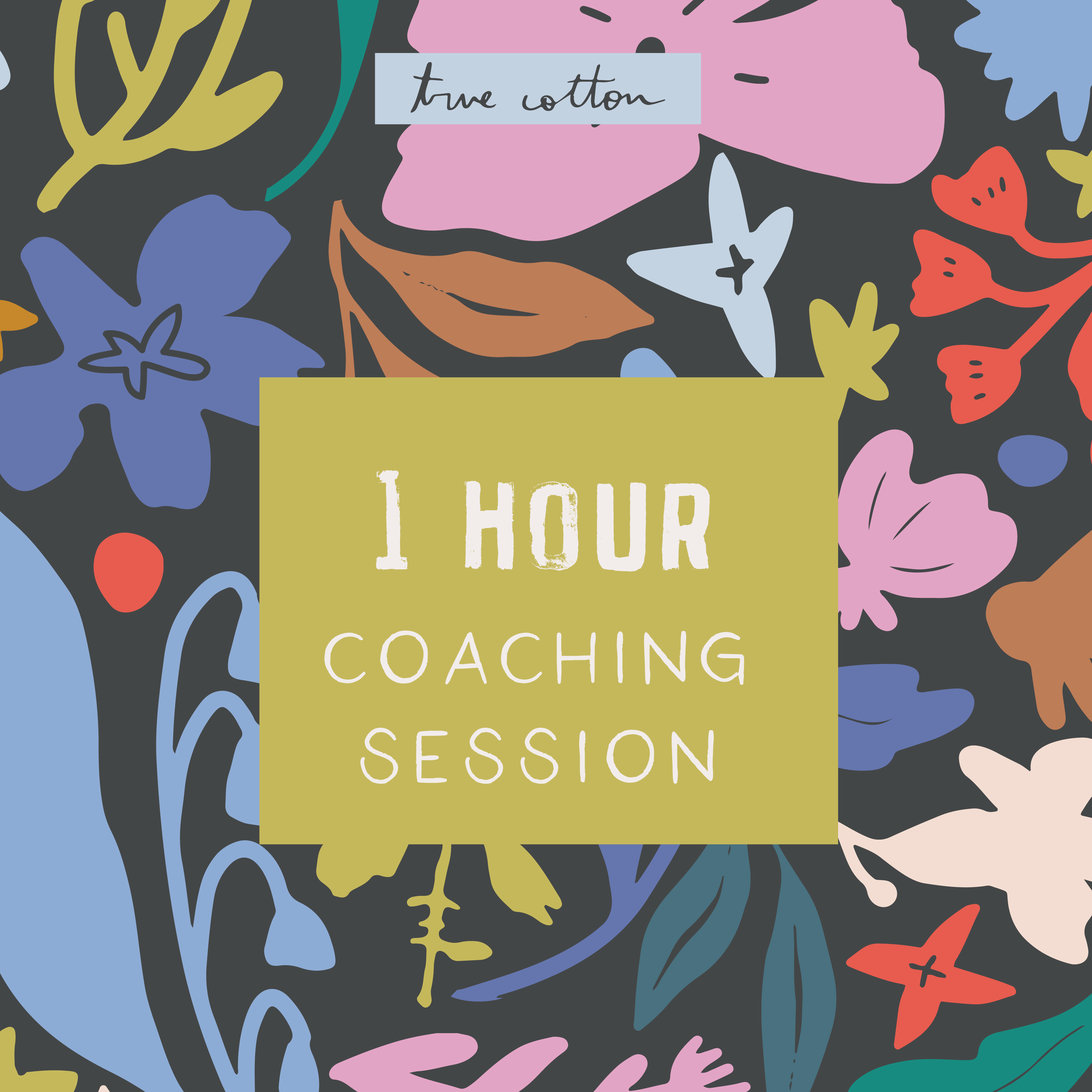 Abundant Artist 1-Hour Coaching Session