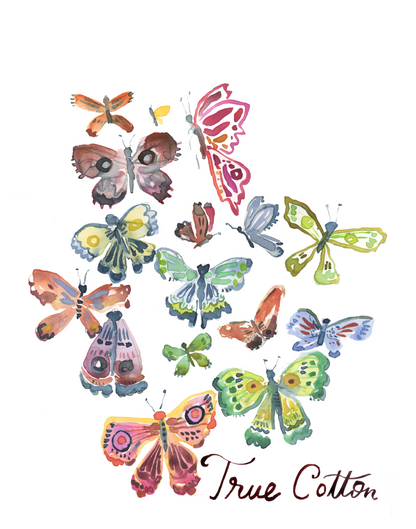 Butterflies Watercolor Workshop | April 28