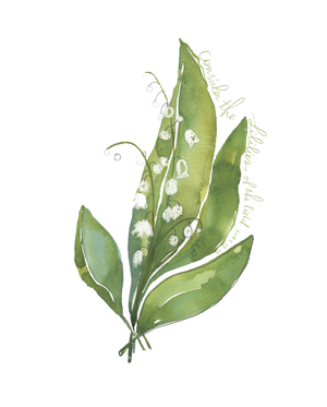 Open image in slideshow, Lily of the Valley Consider the Lilies Luke 12 // Watercolor Fine Art Print
