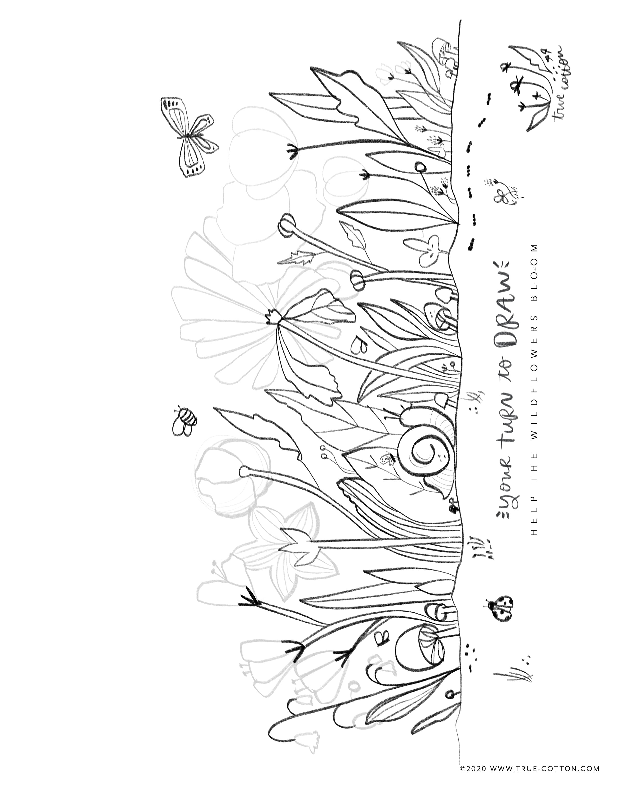 Digital Download // Hello Hope Coloring Pages // VOL. 1 Flora