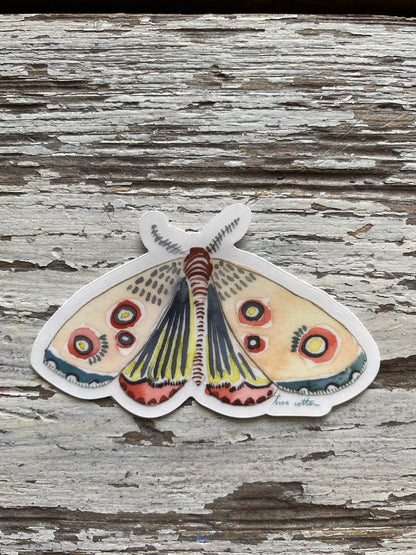 Butterfly // Sticker