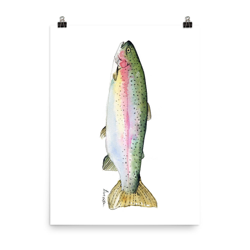 Rainbow Trout Watercolor Wall Art PRINT