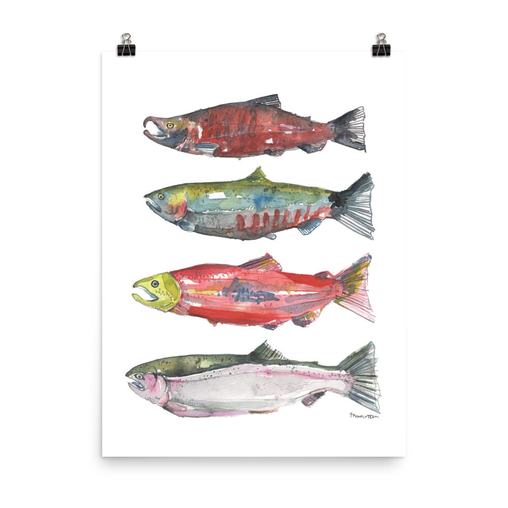 Pacific Northwest Salmon Watercolor Art PRINT