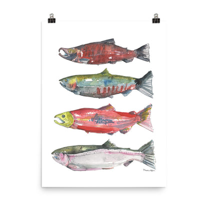 Pacific Northwest Salmon Watercolor Art PRINT