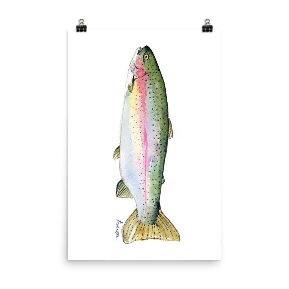 Rainbow Trout Watercolor Wall Art PRINT