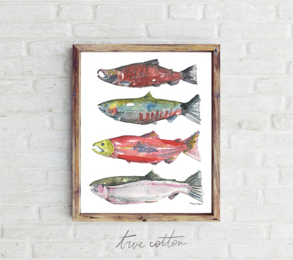 Pacific Northwest Salmon Watercolor Art PRINT